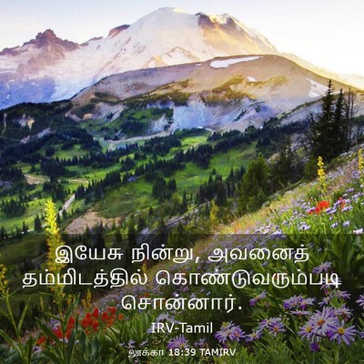 Picture 03 - லூக்கா 18:39 TAMIRV - இயேசு நின்று, - Bible Verse Picture