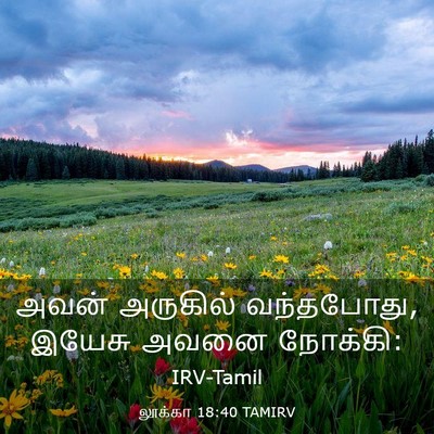 Picture 03 - லூக்கா 18:40 TAMIRV - அவன் அருகில் - Bible Verse Picture