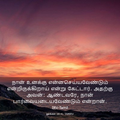 Picture 03 - லூக்கா 18:41 TAMIRV - நான் உனக்கு - Bible Verse Picture