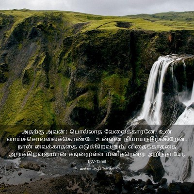 Picture 03 - லூக்கா 19:22 TAMIRV - அதற்கு அவன்: - Bible Verse Picture