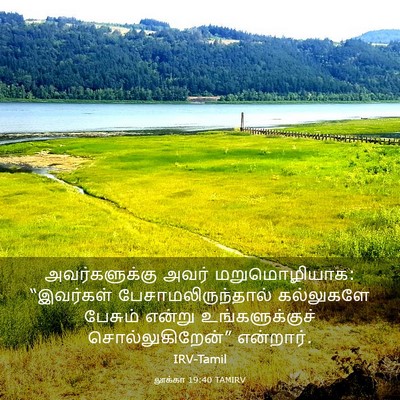 Picture 03 - லூக்கா 19:40 TAMIRV - அவர்களுக்கு அவர் - Bible Verse Picture