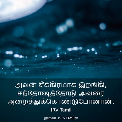 Picture 03 - லூக்கா 19:6 TAMIRV - அவன் சீக்கிரமாக - Bible Verse Picture
