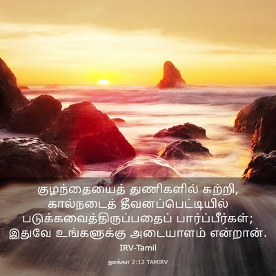 Picture 03 - லூக்கா 2:12 TAMIRV - குழந்தையைத் - Bible Verse Picture
