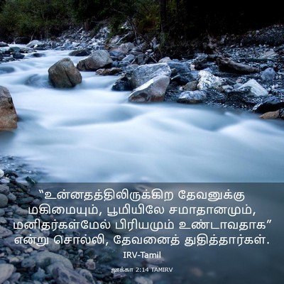 Picture 03 - லூக்கா 2:14 TAMIRV -  - Bible Verse Picture