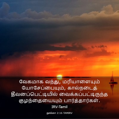 Picture 03 - லூக்கா 2:16 TAMIRV - வேகமாக வந்து, - Bible Verse Picture