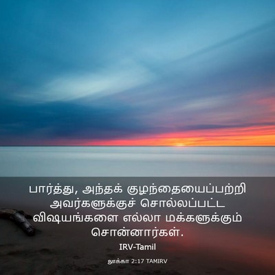 Picture 03 - லூக்கா 2:17 TAMIRV - பார்த்து, அந்தக் - Bible Verse Picture