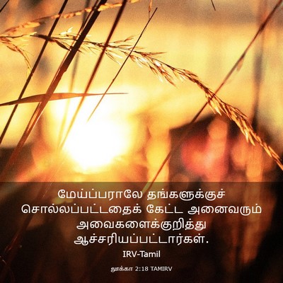 Picture 03 - லூக்கா 2:18 TAMIRV - மேய்ப்பராலே - Bible Verse Picture