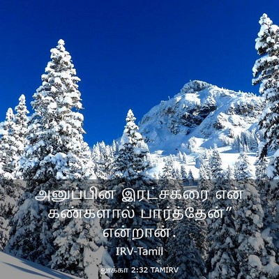 Picture 03 - லூக்கா 2:32 TAMIRV - அனுப்பின இரட்சகரை - Bible Verse Picture