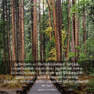 Picture 03 - லூக்கா 2:36 TAMIRV - ஆசேருடைய - Bible Verse Picture