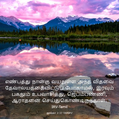 Picture 03 - லூக்கா 2:37 TAMIRV - எண்பத்து நான்கு - Bible Verse Picture