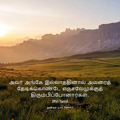 Picture 03 - லூக்கா 2:45 TAMIRV - அவர் அங்கே - Bible Verse Picture