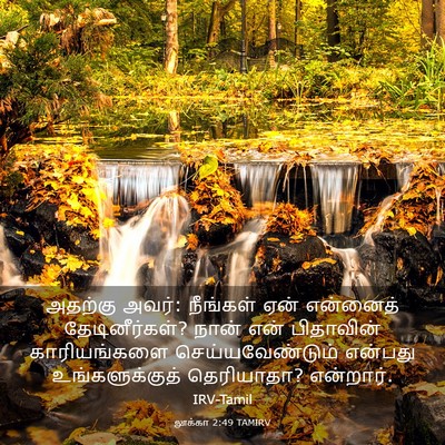 Picture 03 - லூக்கா 2:49 TAMIRV - அதற்கு அவர்: - Bible Verse Picture