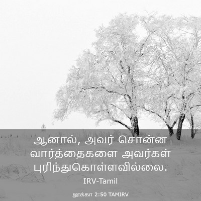 Picture 03 - லூக்கா 2:50 TAMIRV - ஆனால், அவர் சொன்ன - Bible Verse Picture