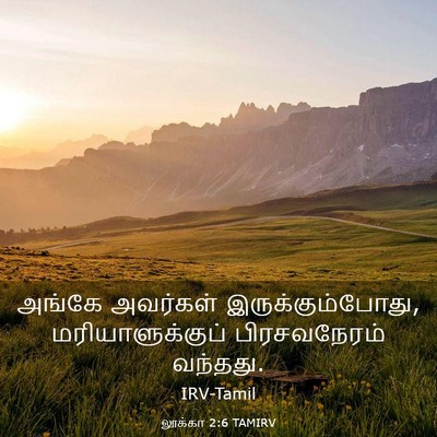 Picture 03 - லூக்கா 2:6 TAMIRV - அங்கே அவர்கள் - Bible Verse Picture