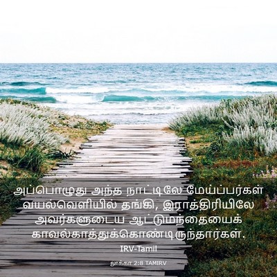 Picture 03 - லூக்கா 2:8 TAMIRV - அப்பொழுது அந்த - Bible Verse Picture