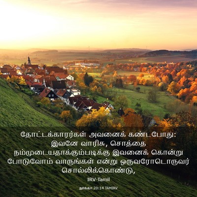 Picture 03 - லூக்கா 20:14 TAMIRV - தோட்டக்காரர்கள் - Bible Verse Picture