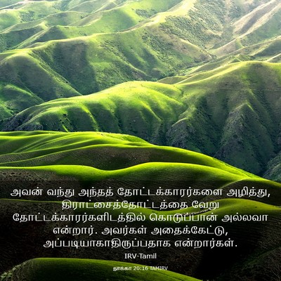 Picture 03 - லூக்கா 20:16 TAMIRV - அவன் வந்து அந்தத் - Bible Verse Picture
