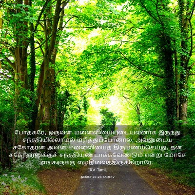 Picture 03 - லூக்கா 20:28 TAMIRV - போதகரே, ஒருவன் - Bible Verse Picture