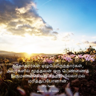 Picture 03 - லூக்கா 20:29 TAMIRV - சகோதரர்கள் - Bible Verse Picture