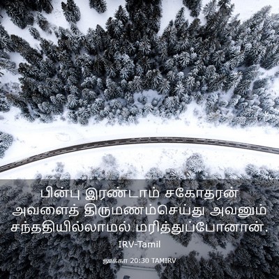 Picture 03 - லூக்கா 20:30 TAMIRV - பின்பு இரண்டாம் - Bible Verse Picture