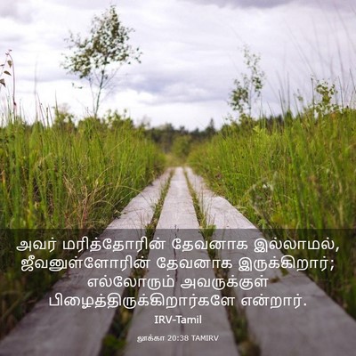 Picture 03 - லூக்கா 20:38 TAMIRV - அவர் மரித்தோரின் - Bible Verse Picture