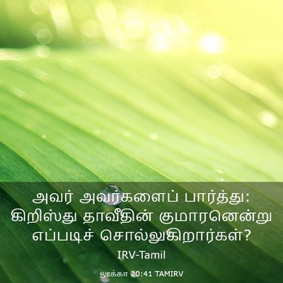 Picture 03 - லூக்கா 20:41 TAMIRV - அவர் அவர்களைப் - Bible Verse Picture