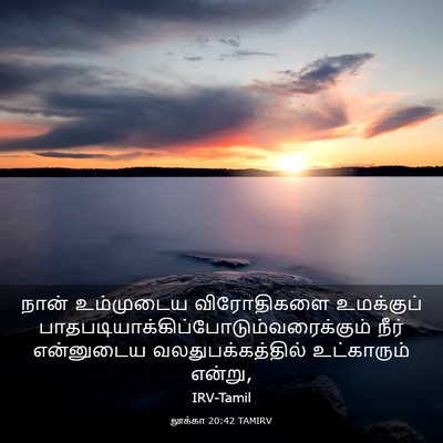 Picture 03 - லூக்கா 20:42 TAMIRV - நான் உம்முடைய - Bible Verse Picture