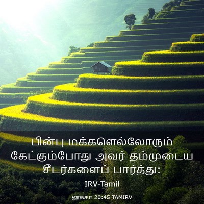 Picture 03 - லூக்கா 20:45 TAMIRV - பின்பு - Bible Verse Picture