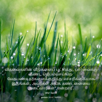 Picture 03 - லூக்கா 20:47 TAMIRV - விதவைகளின் - Bible Verse Picture
