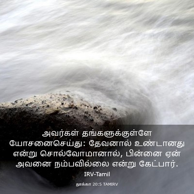 Picture 03 - லூக்கா 20:5 TAMIRV - அவர்கள் - Bible Verse Picture