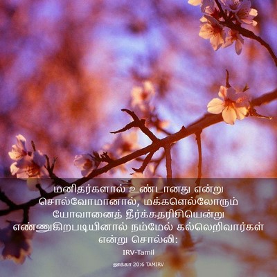 Picture 03 - லூக்கா 20:6 TAMIRV - மனிதர்களால் - Bible Verse Picture