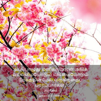 Picture 03 - லூக்கா 21:27 TAMIRV - அப்பொழுது - Bible Verse Picture