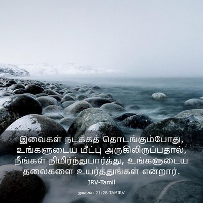 Picture 03 - லூக்கா 21:28 TAMIRV - இவைகள் நடக்கத் - Bible Verse Picture