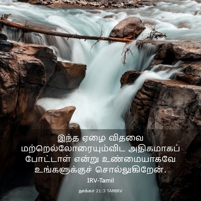 Picture 03 - லூக்கா 21:3 TAMIRV - இந்த ஏழை விதவை - Bible Verse Picture