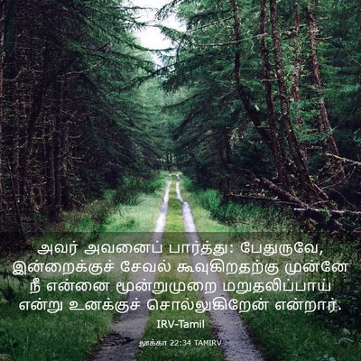 Picture 03 - லூக்கா 22:34 TAMIRV - அவர் அவனைப் - Bible Verse Picture