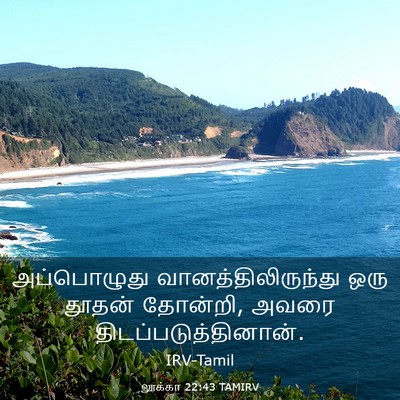 Picture 03 - லூக்கா 22:43 TAMIRV - அப்பொழுது - Bible Verse Picture