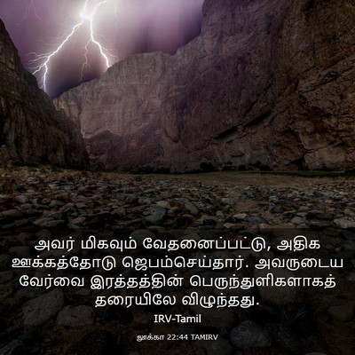 Picture 03 - லூக்கா 22:44 TAMIRV - அவர் மிகவும் - Bible Verse Picture