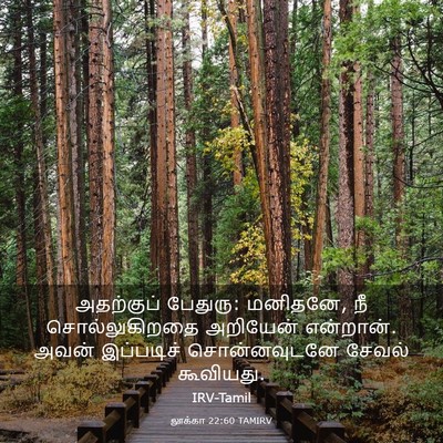 Picture 03 - லூக்கா 22:60 TAMIRV - அதற்குப் பேதுரு: - Bible Verse Picture