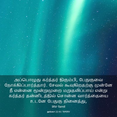Picture 03 - லூக்கா 22:61 TAMIRV - அப்பொழுது - Bible Verse Picture