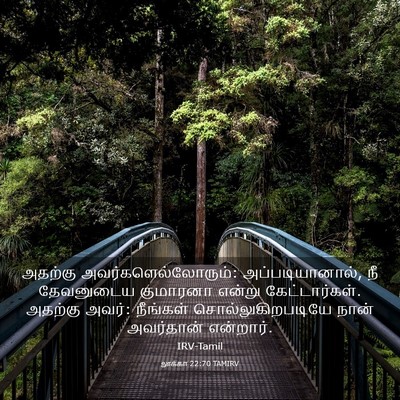 Picture 03 - லூக்கா 22:70 TAMIRV - அதற்கு - Bible Verse Picture