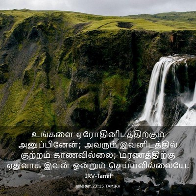 Picture 03 - லூக்கா 23:15 TAMIRV - உங்களை - Bible Verse Picture