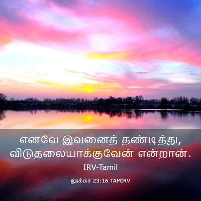 Picture 03 - லூக்கா 23:16 TAMIRV - எனவே இவனைத் - Bible Verse Picture