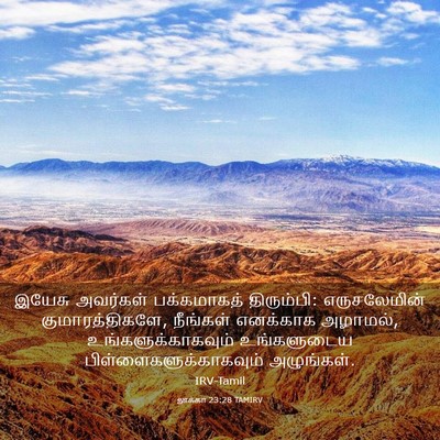 Picture 03 - லூக்கா 23:28 TAMIRV - இயேசு அவர்கள் - Bible Verse Picture