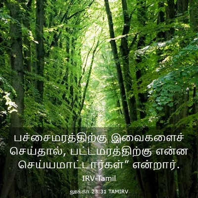 Picture 03 - லூக்கா 23:31 TAMIRV - பச்சைமரத்திற்கு - Bible Verse Picture