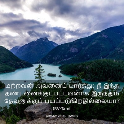 Picture 03 - லூக்கா 23:40 TAMIRV - மற்றவன் அவனைப் - Bible Verse Picture