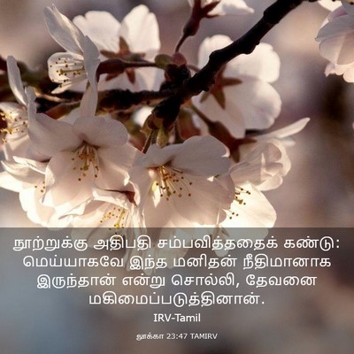 Picture 03 - லூக்கா 23:47 TAMIRV - நூற்றுக்கு அதிபதி - Bible Verse Picture