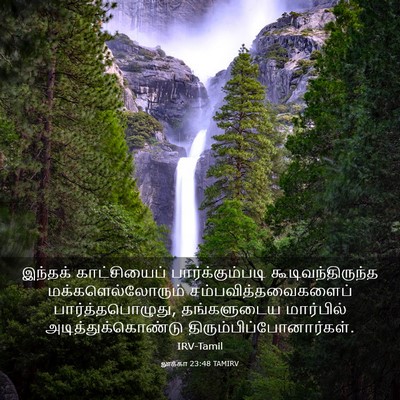 Picture 03 - லூக்கா 23:48 TAMIRV - இந்தக் காட்சியைப் - Bible Verse Picture