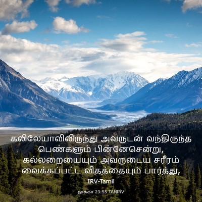 Picture 03 - லூக்கா 23:55 TAMIRV -  - Bible Verse Picture