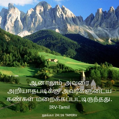 Picture 03 - லூக்கா 24:16 TAMIRV - ஆனாலும் அவரை - Bible Verse Picture