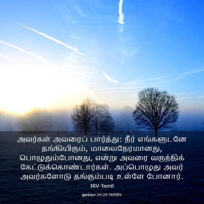 Picture 03 - லூக்கா 24:29 TAMIRV - அவர்கள் அவரைப் - Bible Verse Picture